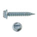 SLOTTED HEX WASHER SELF PIERCING SCREW